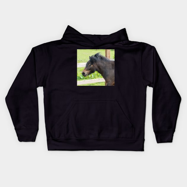 Shetland Pony Kids Hoodie by Russell102